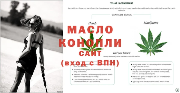 jwh Абаза